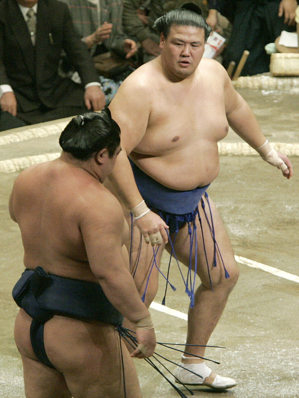 土佐ノ海敏生の現在は?年寄立川としての歩みと学生横綱からの激闘録を徹底解説