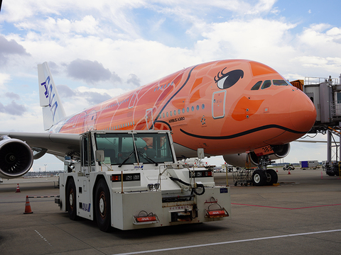 0805ana-w-1.jpg