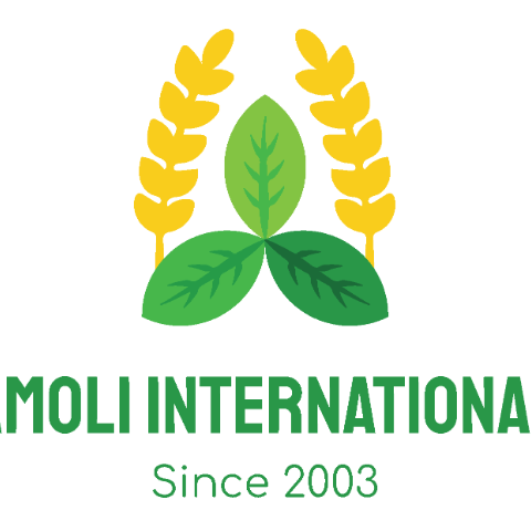 amoli-logo.png
