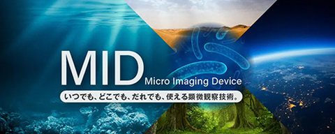 0319mid-w.jpg