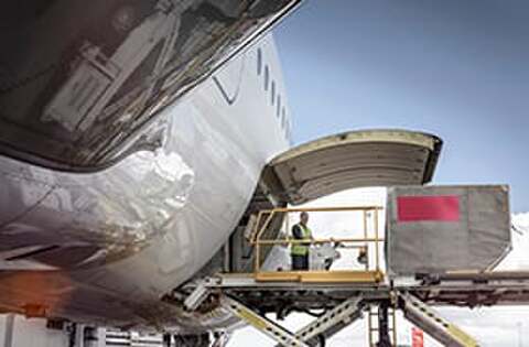 0315iata-w.jpg