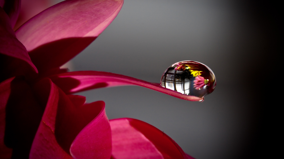 desktopwallpapers.org.ua_9944.jpg