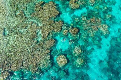 0228cairns-w.jpg