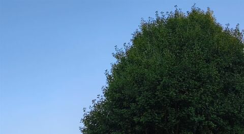 2026-10-12_03h37_05.jpg