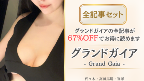 グランドガイア店舗記事_全記事セット.png