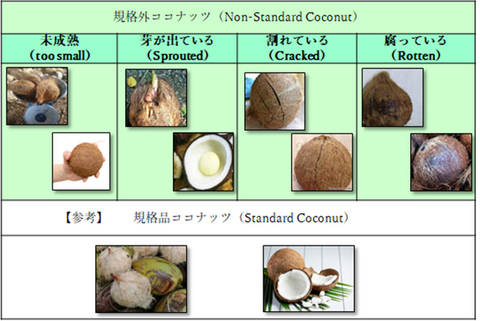 0408coconuts-w.jpg