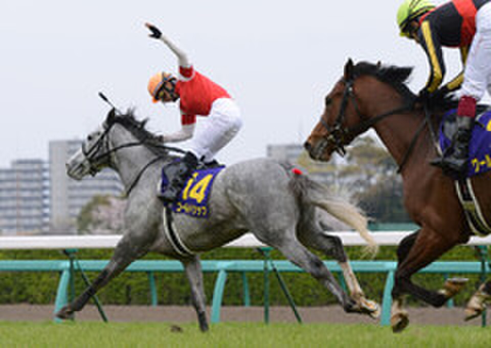 サンタの競馬　ゴールドシップ　デュラメンテ サンタの競馬 ゴールドシップ デュラメンテ サンタの競馬 ゴールド