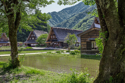 0412airbnb-w.jpg