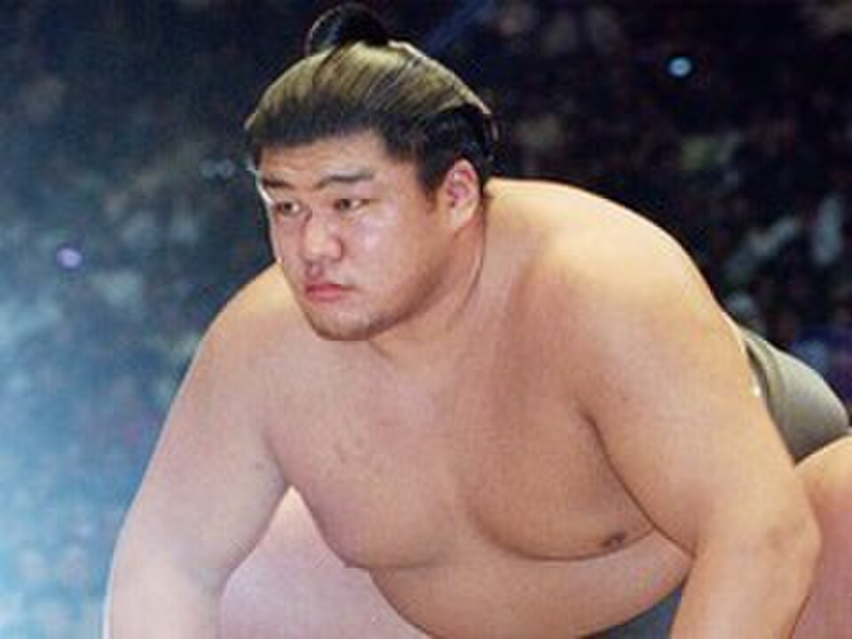 反物 武双山 相撲 未使用品】大相撲 武蔵川部屋 浴衣地反物 3点〈出島