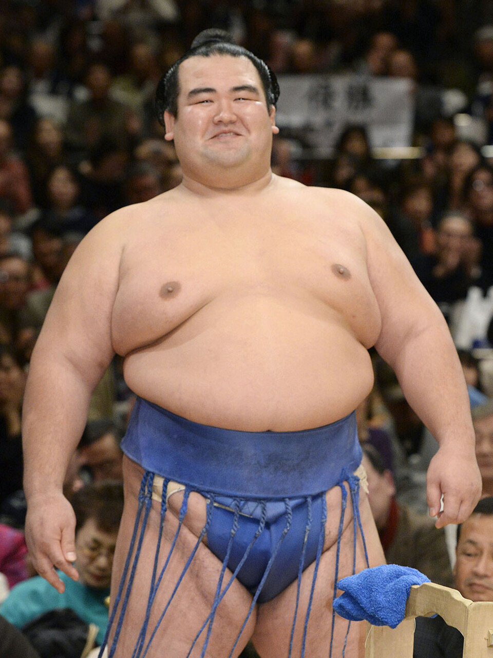 琴 奨 菊