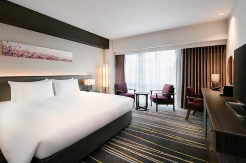 0228wtreehilton-w.jpg