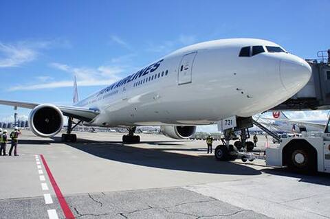0306jal-w-w.jpg