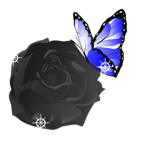 イラスト.jpg
