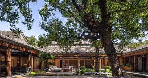 0903mandarin-w.jpg