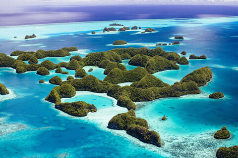 0215palau-w.jpg