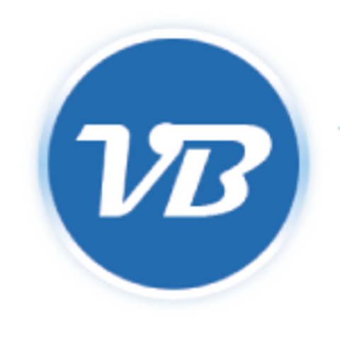 Vigor Blog logo.jpg