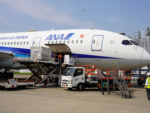 0326anacargo-w.jpg
