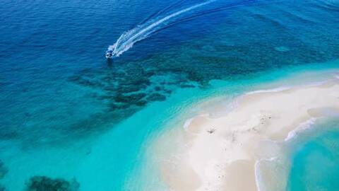 0327fiji-w.jpg
