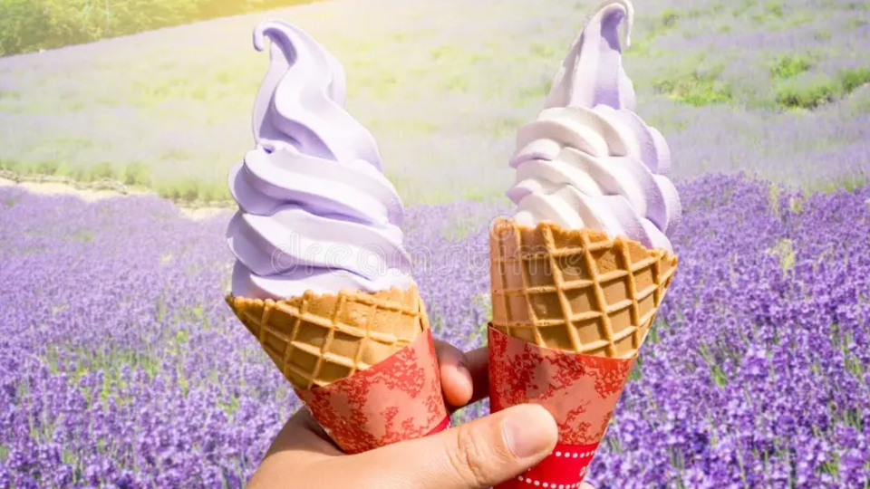 Japan Ice Cream Market.jpg