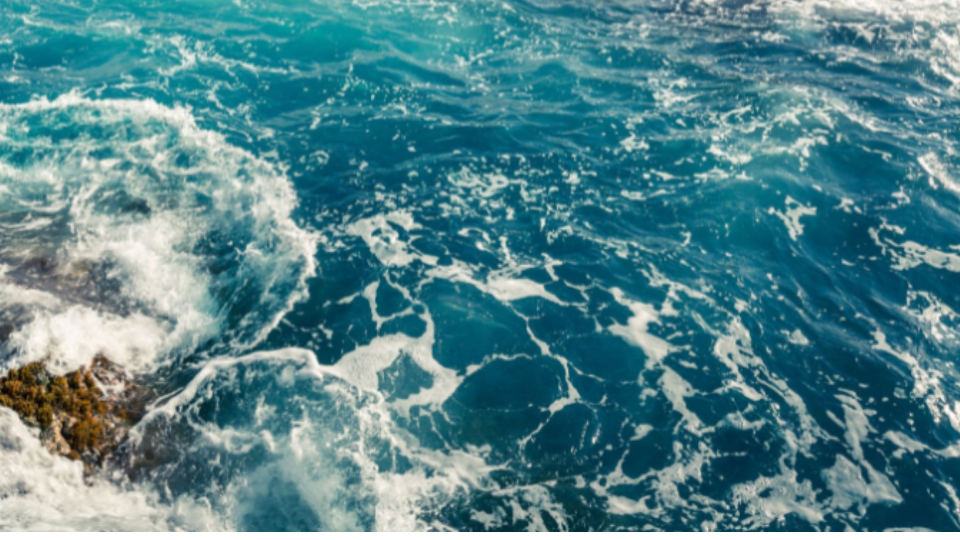 Ocean.png