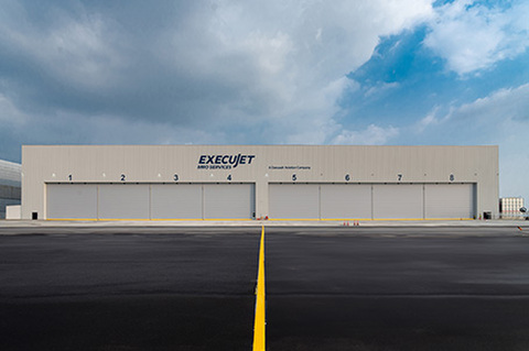 0403falcon1-w.jpg