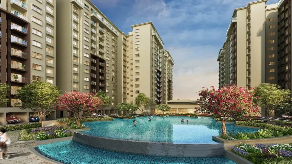 purva-codename-bliss-Cover Pic.png