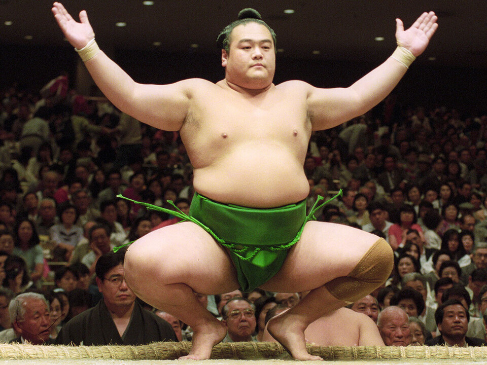 相撲大皿32センチ 横綱&大関大鑑 B.B.MOOK 1428 | BBMスポーツ | ベースボール