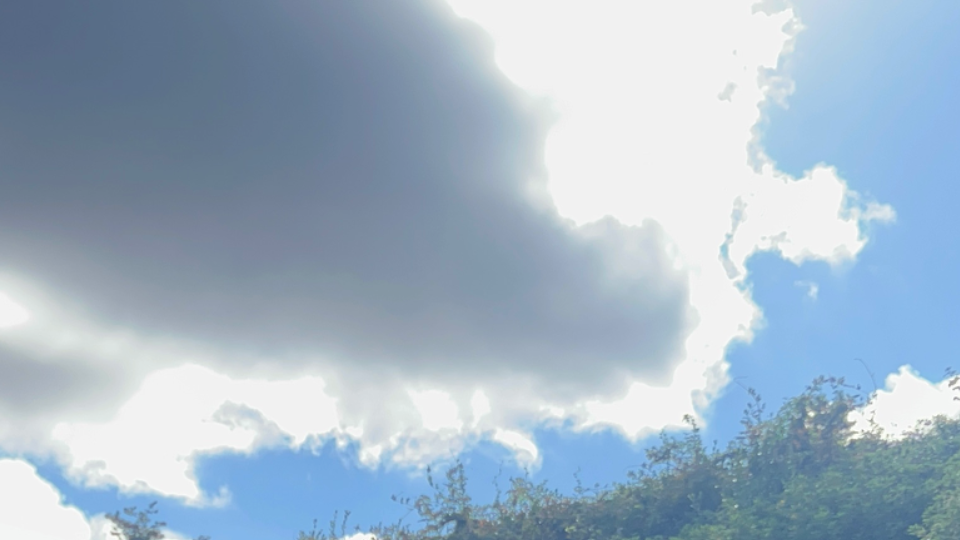 IMG_1365.jpeg