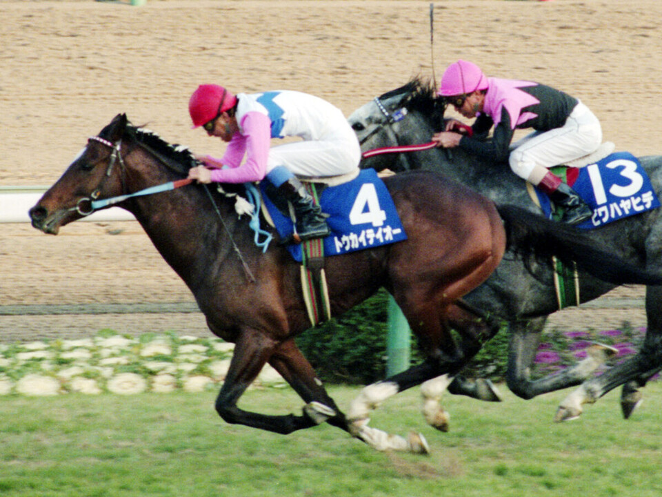 AVANTI トウカイテイオー　第58回日本ダービー　Sサイズ　競馬　ウマ娘　馬 AVANTI トウカイテイオー 第58回日本ダービー Sサイズ 競馬 ウマ