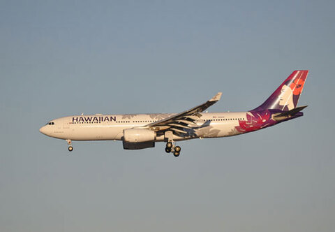 0311hal-w.jpg