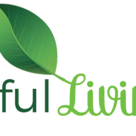 logo-fitfulliving.png
