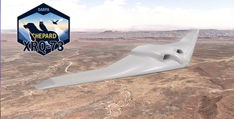 0708darpa-w-1.jpg