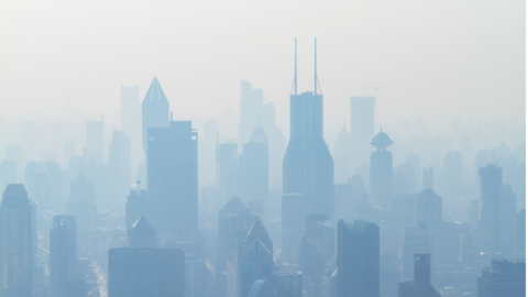 Smog Citys.jpg