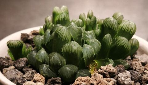 2026-10-11_10h27_18.jpg