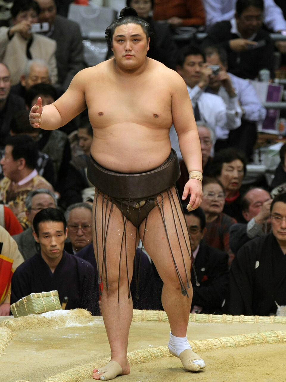 平成の名力士列伝：隠岐の海】航海士の夢に区切りをつけ大相撲へ