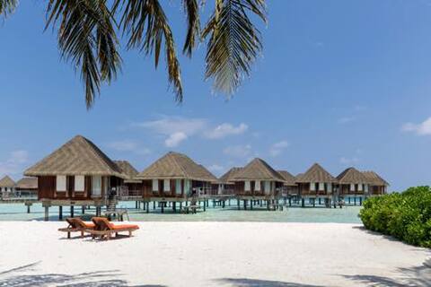 0304clubmed-w.jpg