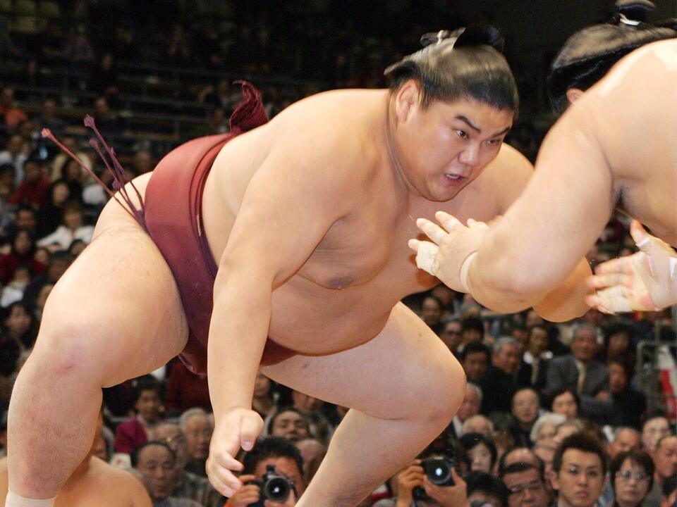平成の名力士列伝：普天王】「アマ横綱」の実力と「ブログ」での発信で 